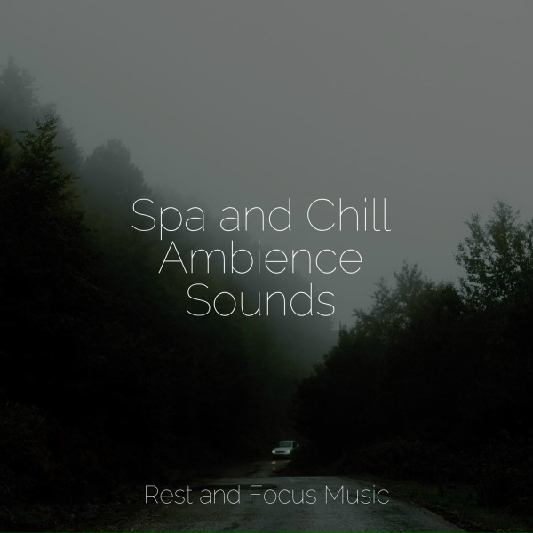 Deep Relaxation Meditation Academy, Alpha Waves, Study Zone - Totally Relaxed