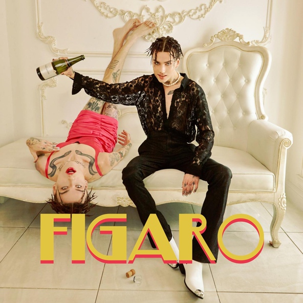 Xolidayboy - FIGARO