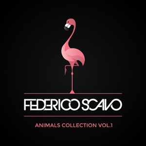 Discoplex - Rumba