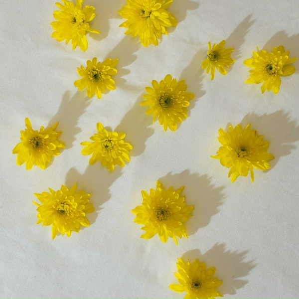 Yvng James - Copyright