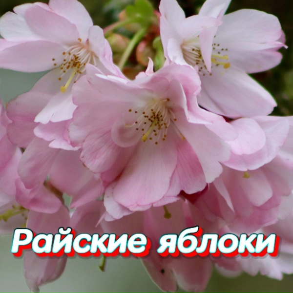 Сергей Грищук - А ГОДЫ ЛЕТЯТ