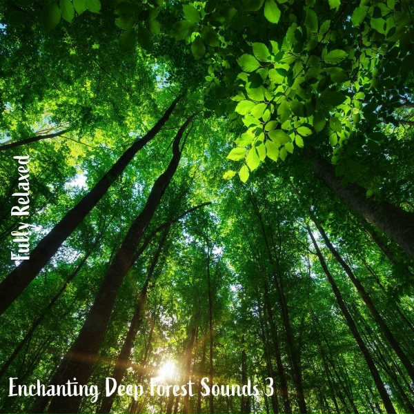 Steve Brassel - Enchanting Deep Forest Sounds, Pt. 8