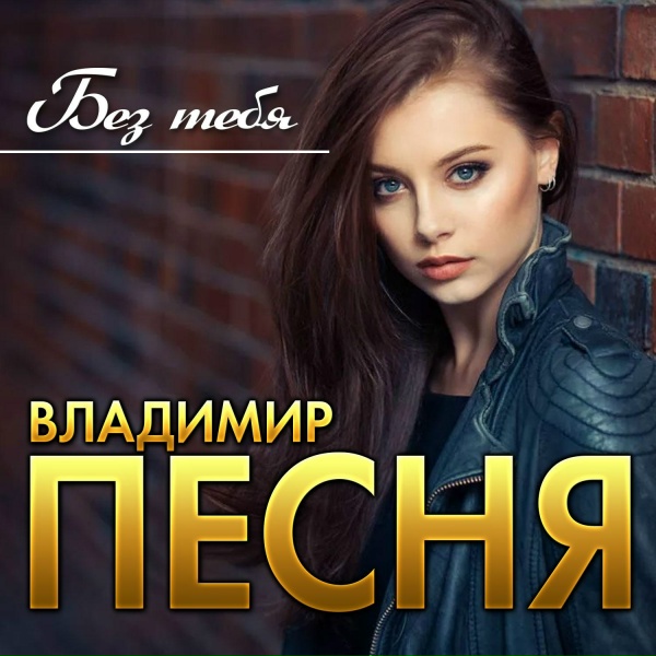 Владимир Песня - Ты