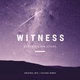 DJ Danjo & Rob Styles - Witness (Katana remix)