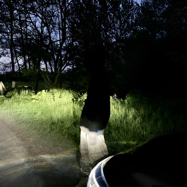 zashej, anjelous - blind