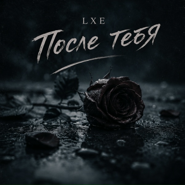 LXE - После тебя