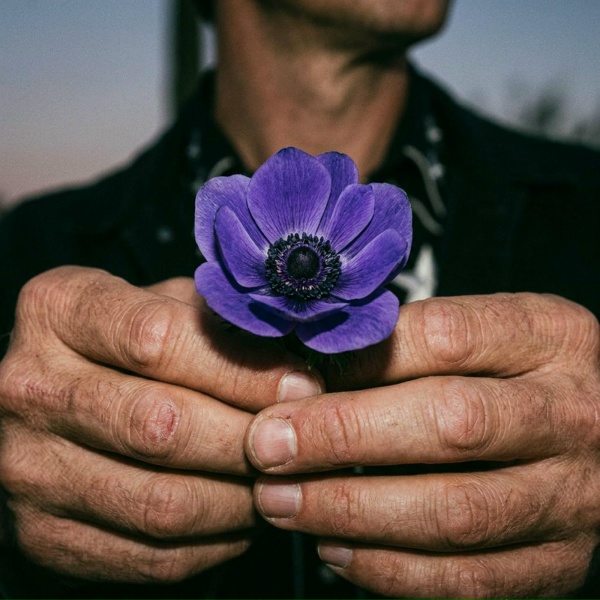 Dark Country - watchin' 'em feed