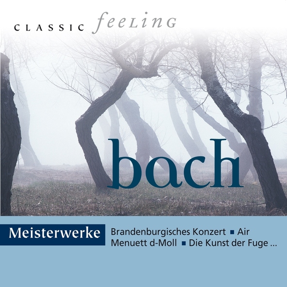 Deutsche Bachsolisten,Helmut Winschermann