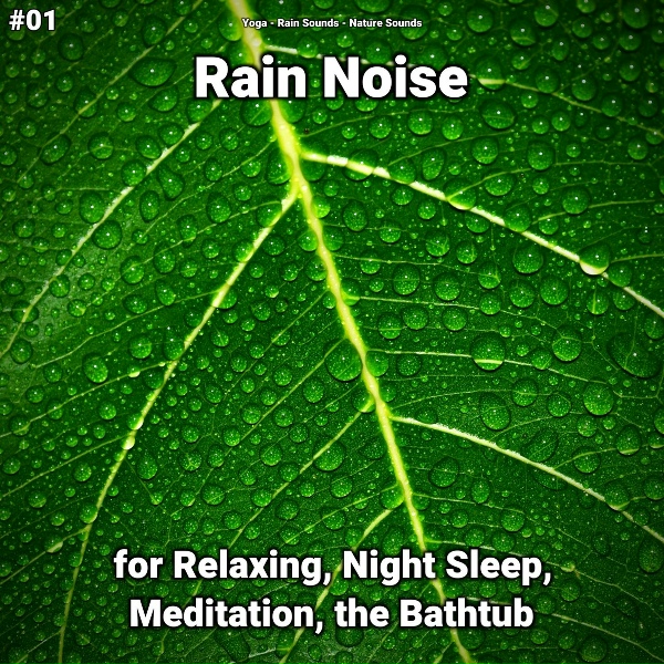 Yoga, Rain Sounds, Nature Sounds - Refreshing Rain Sounds
