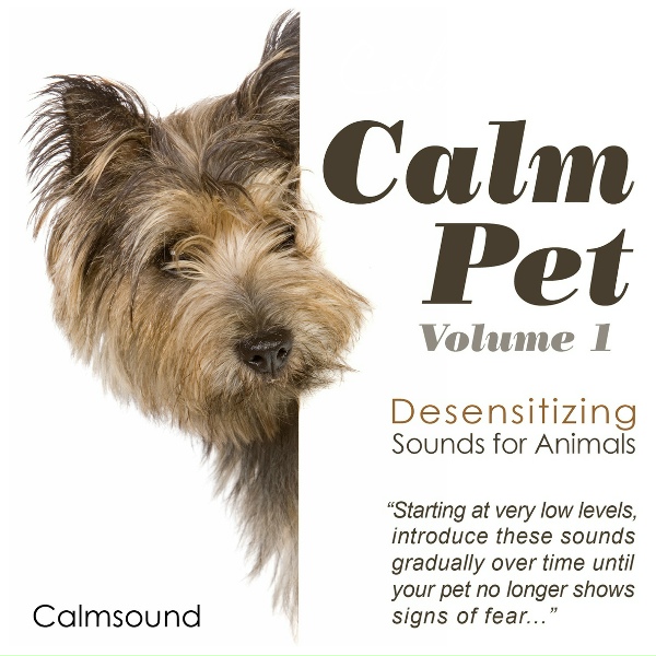 Calmsound - Car Engine Sounds