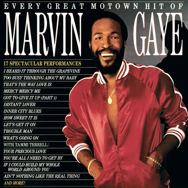 Marvin Gaye, Tammi Terrell - If I Could Build My Whole World Around You