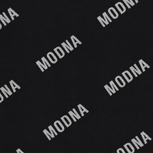 BIG RUSSIAN BOSS, Young P&H - MODNA Intro