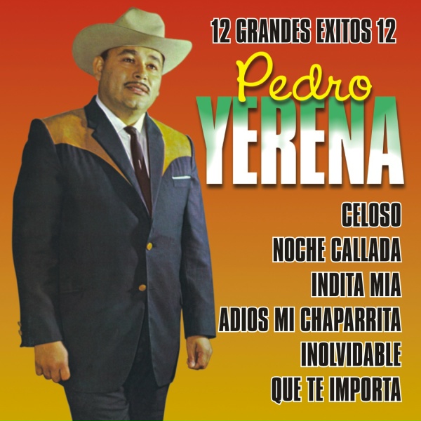 Pedro Yerena - Nube Gris