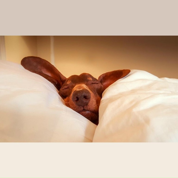 Deep Sleep, Spa, Yoga Music - Sleeping Beauty