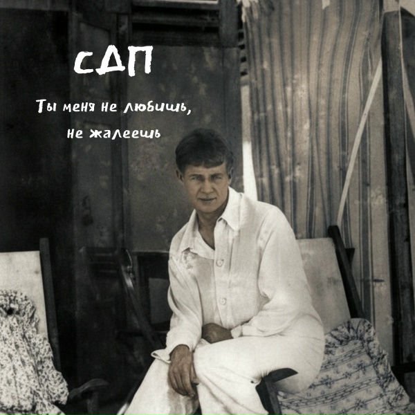 СДП - Ты меня не любишь, не жалеешь