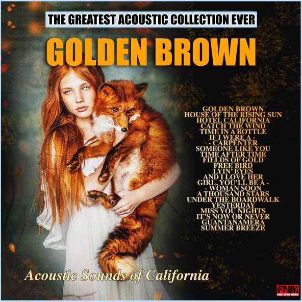 Acoustic Sounds of California - Someone Like You