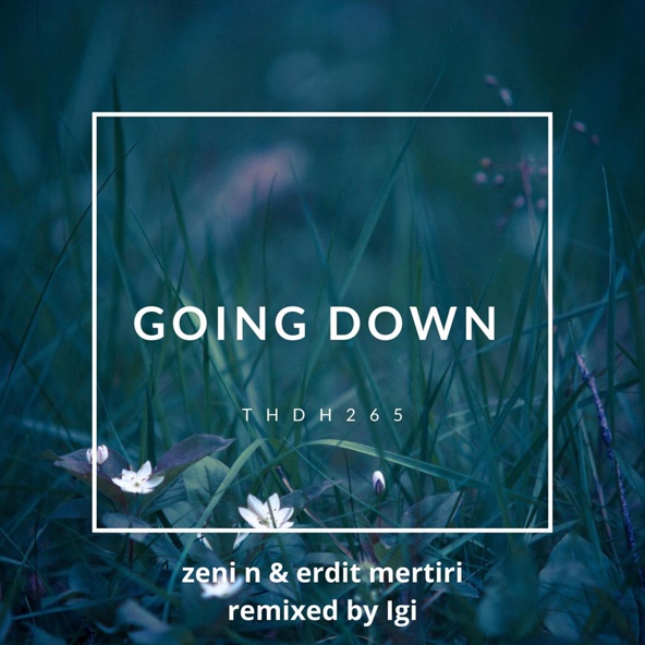 Zeni N, Erdit Mertiri - Going Down