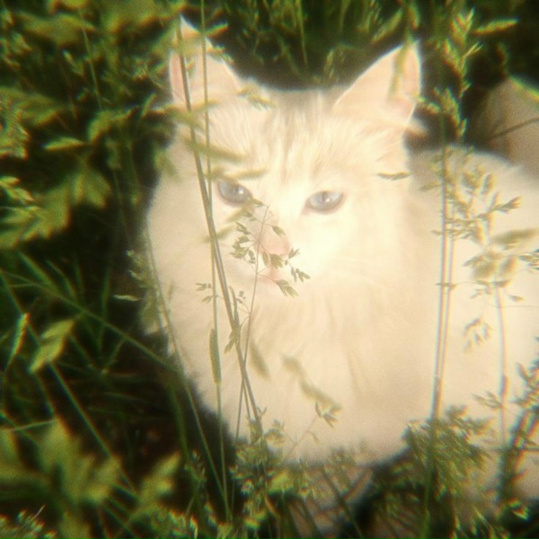 Virtuals - Self Aware (Slowed)