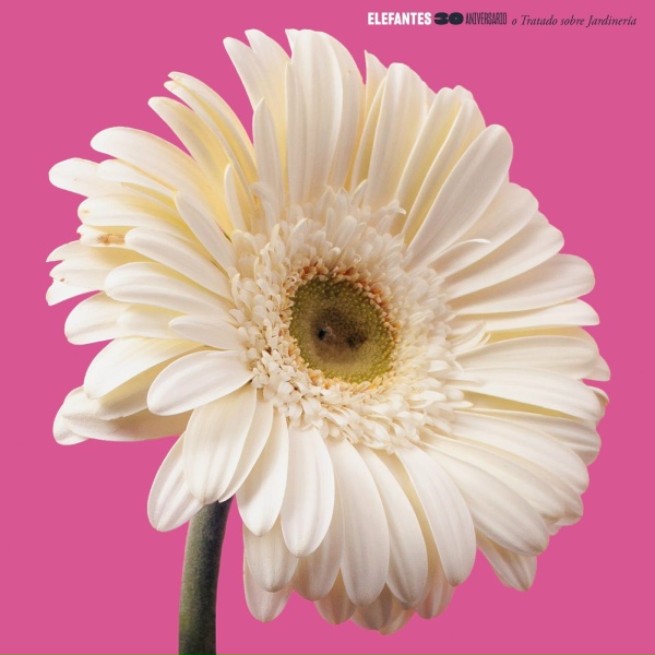 Elefantes feat. Coque Malla, Ara Malikian, Lori Meyers, Mikel Izal, Rozalén