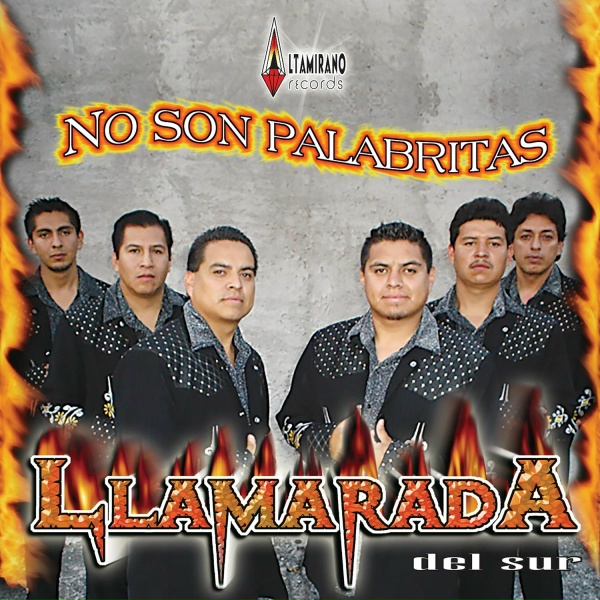 La Llamarada del Sur - Alfredo Garcia Jimenez