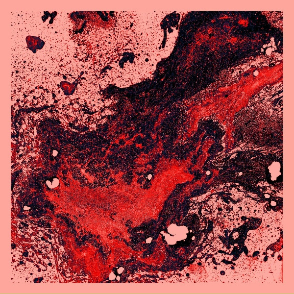 TRANCABAIXO - RADICALICE