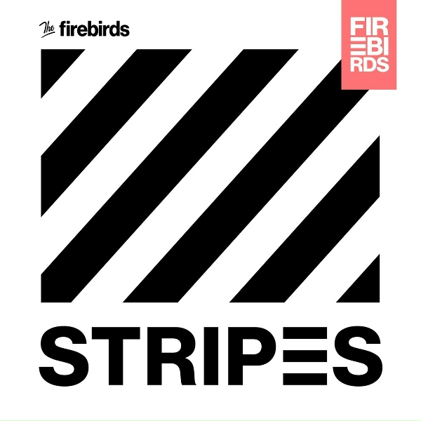 The Firebirds - Boyfriend