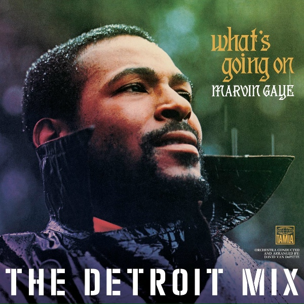 Marvin Gaye - Flyin' High (In The Friendly Sky)