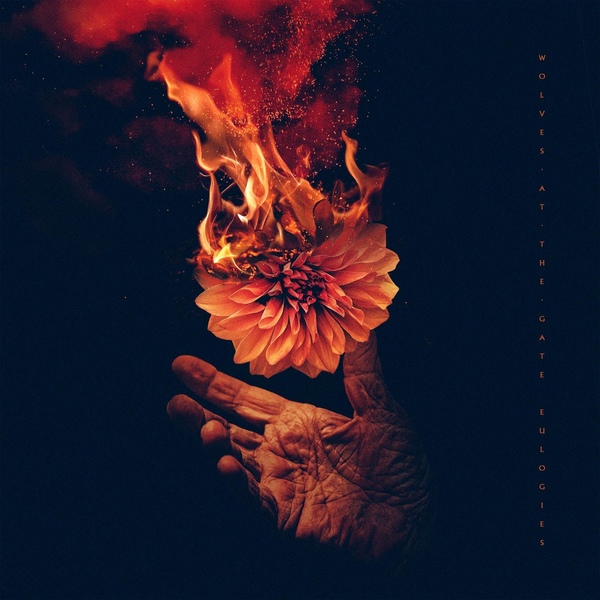 Wolves At The Gate - Embracing Accusation