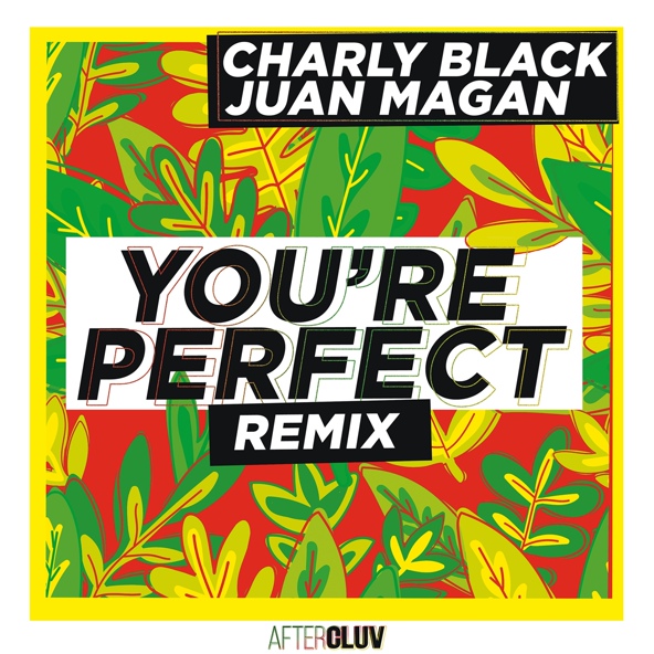 Charly Black feat. Juan Mag&aacute;n - You're Perfect