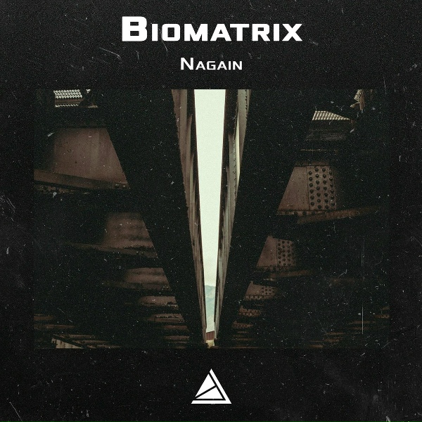 Biomatrix - Battletodes Canyon