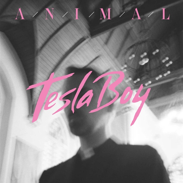 Tesla Boy - Animal