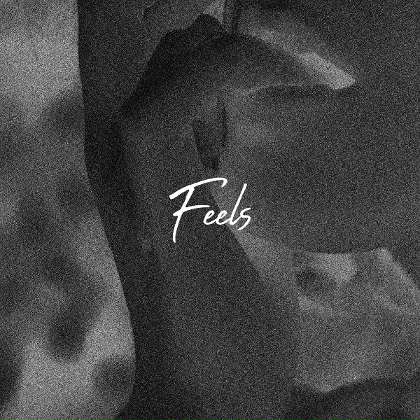 Paloma - Feels
