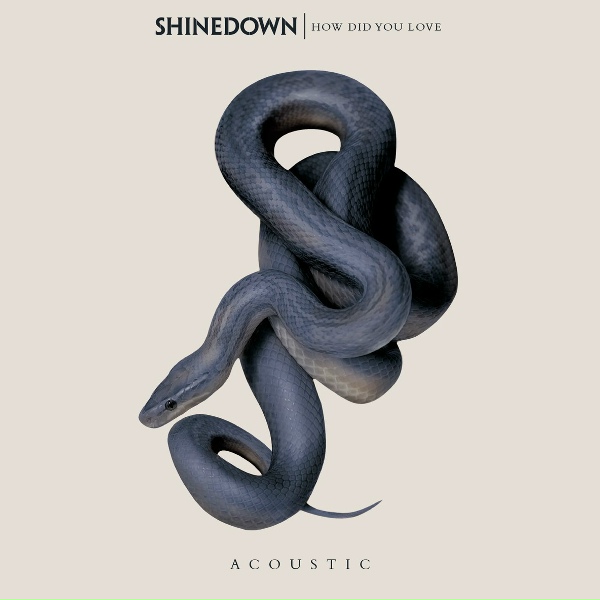 Shinedown - How Did You Love