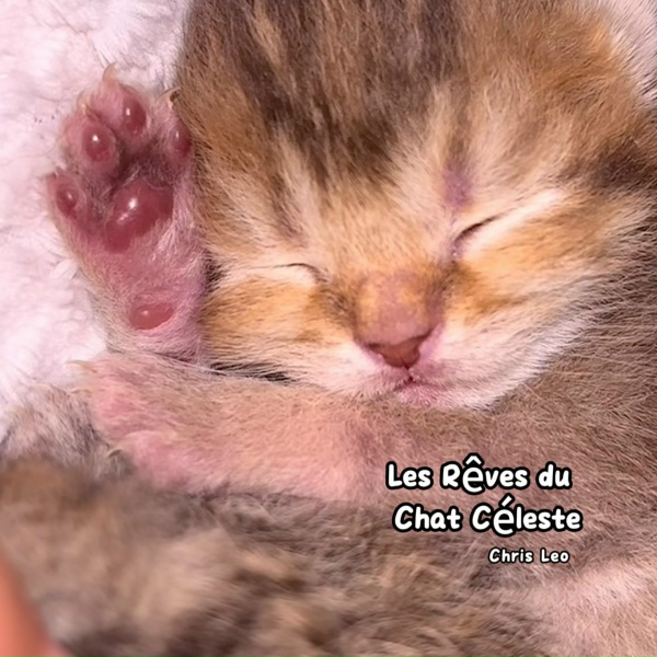 Chris Leo - Les R&ecirc;ves du Chat C&eacute;leste