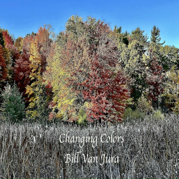 Bill Van Jura - Memories of You