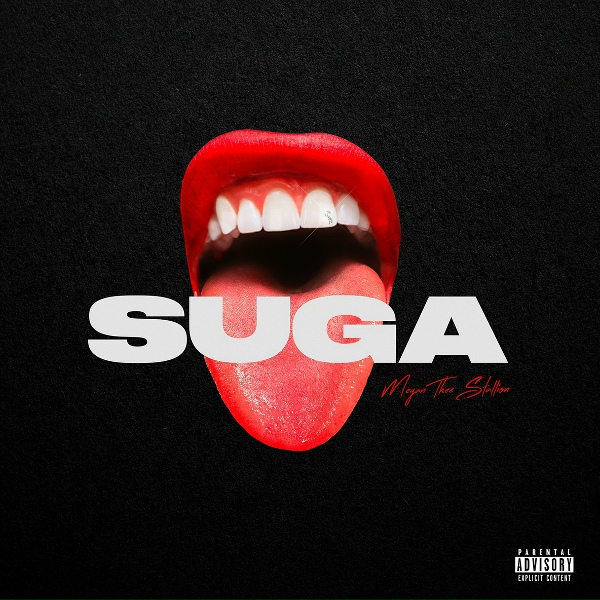 Megan Thee Stallion feat. Gunna - Stop Playing (feat. Gunna)
