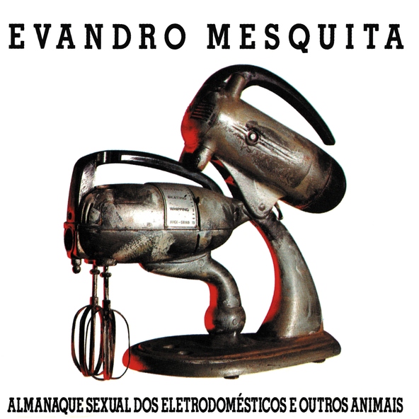 Evandro Mesquita - Knockin On Heaven's Door