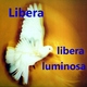 Libera - Debussy / Arr Prizeman : Luminosa [Debussy' Claire de Lune]