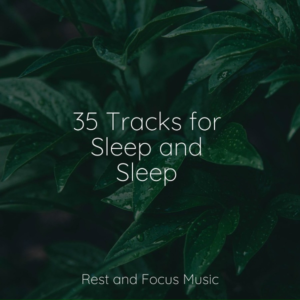 Avslappning Sound, Spa Relaxation, Sleepy Times - Clear Wandering
