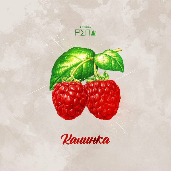 Группа РЕПА