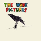 The Wave Pictures - The Woods
