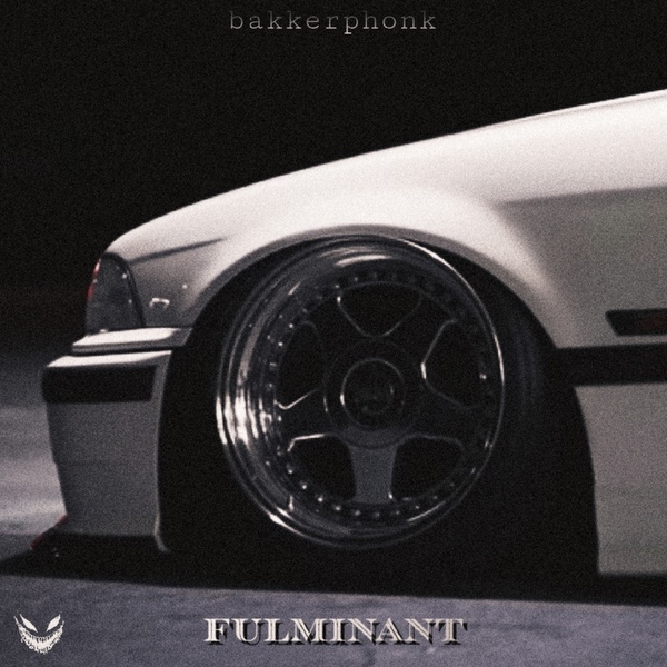 bakkerphonk - excitement