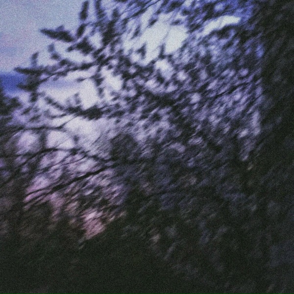 dontleaveme - love pills