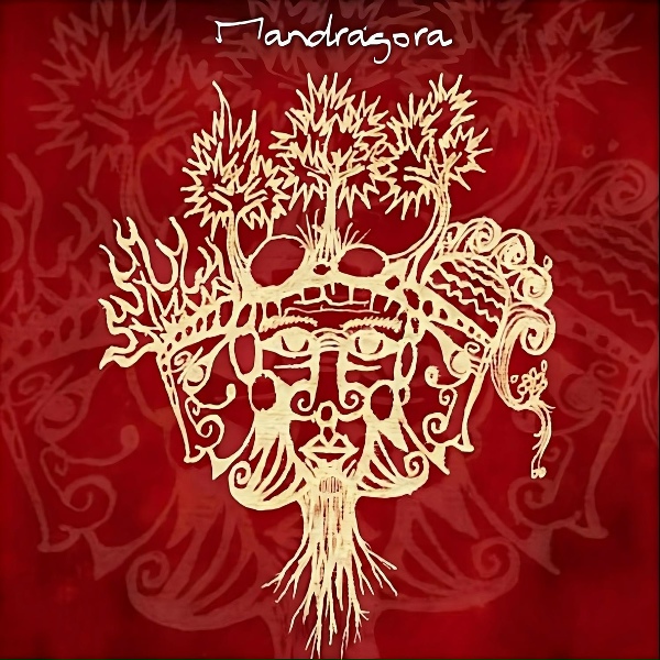 Mandragora - Gitara