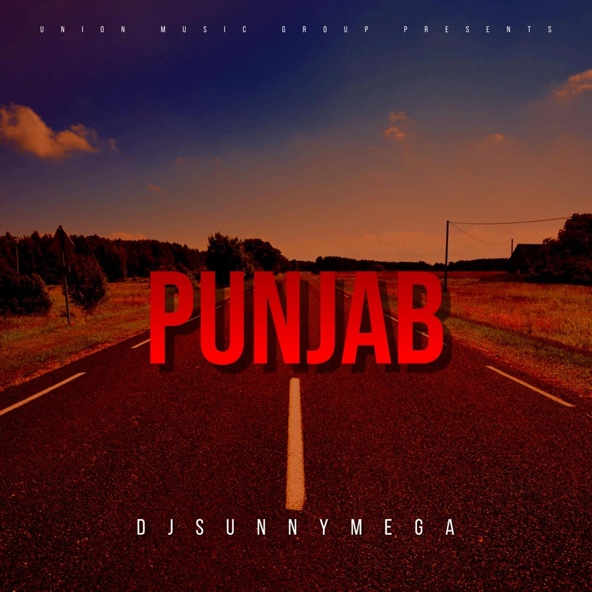 Djsunnymega