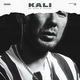 Kali feat. Gruppa Skryptonite, Maqlao - Правил нет
