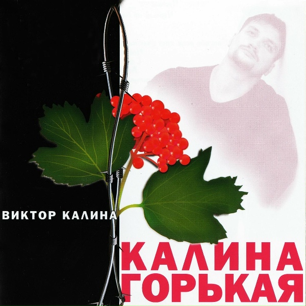 Виктор Калина - Лето-Козанова