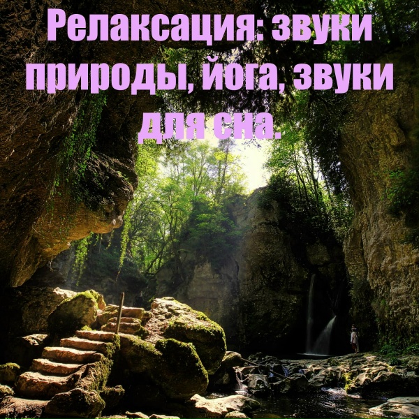 Алекс Животворов - Восход