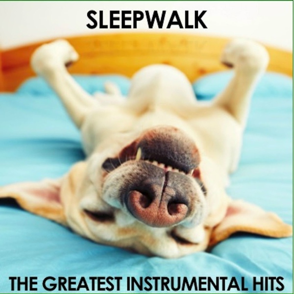 The Ventures - Walk Don't Run (Hollywood & Vine Mix)