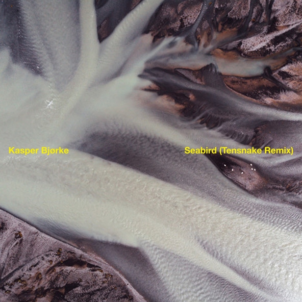 Kasper Bj&oslash;rke, Tensnake feat. Toby Ernest, Christian d'Or - Seabird